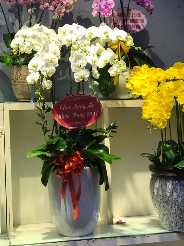 Shop hoa tươi Quận Long Biên
