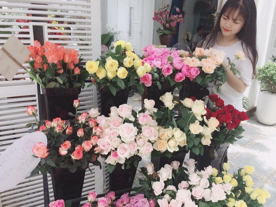 Shop hoa tươi Thành phố Vinh