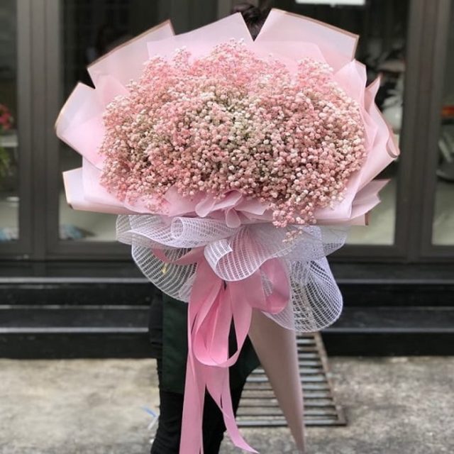 Bó hoa baby cũng được sử dụng rất nhiều trong lễ cầu hôn