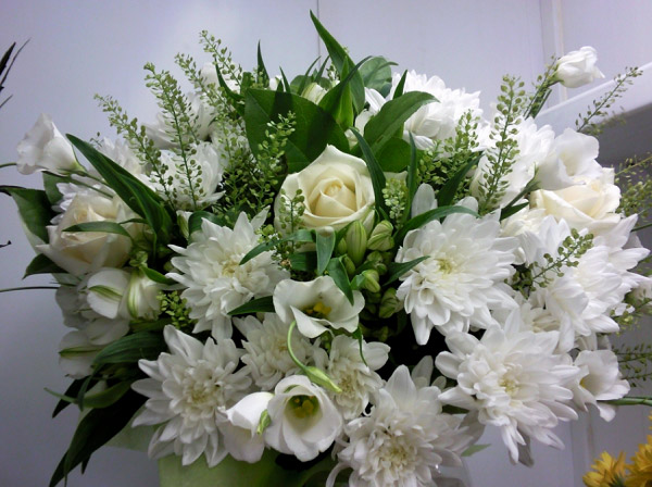 Bó hoa cúc trắng được sử dụng trong tang lễ