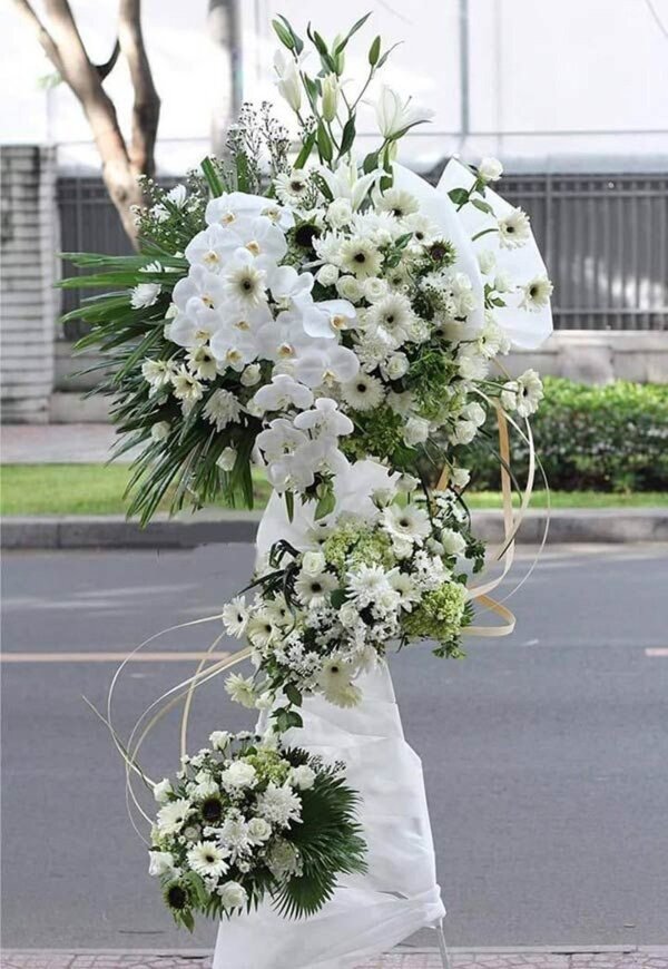 hình ảnh hoa cúc trắng đám tang